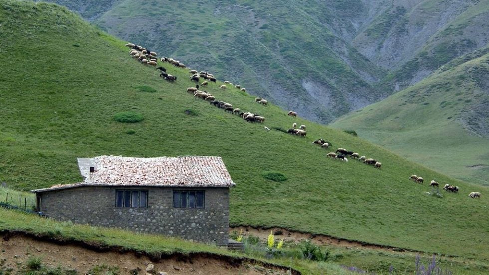 vardousia